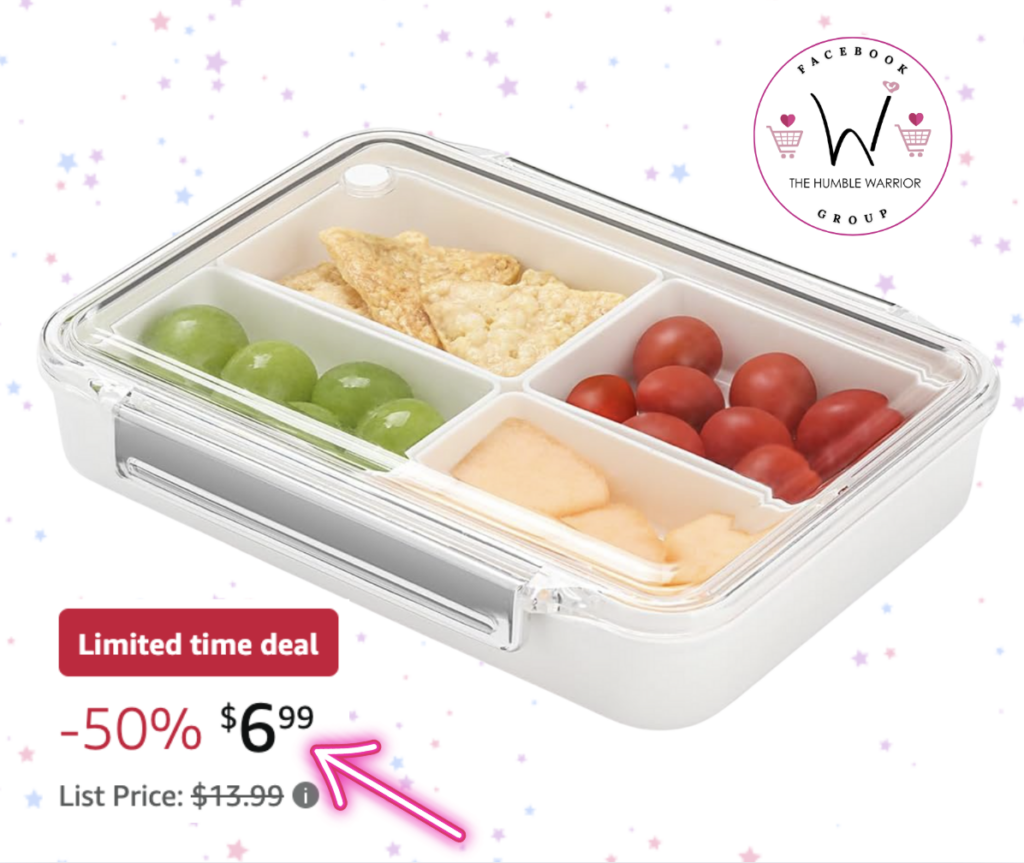 The Snack Box Container!